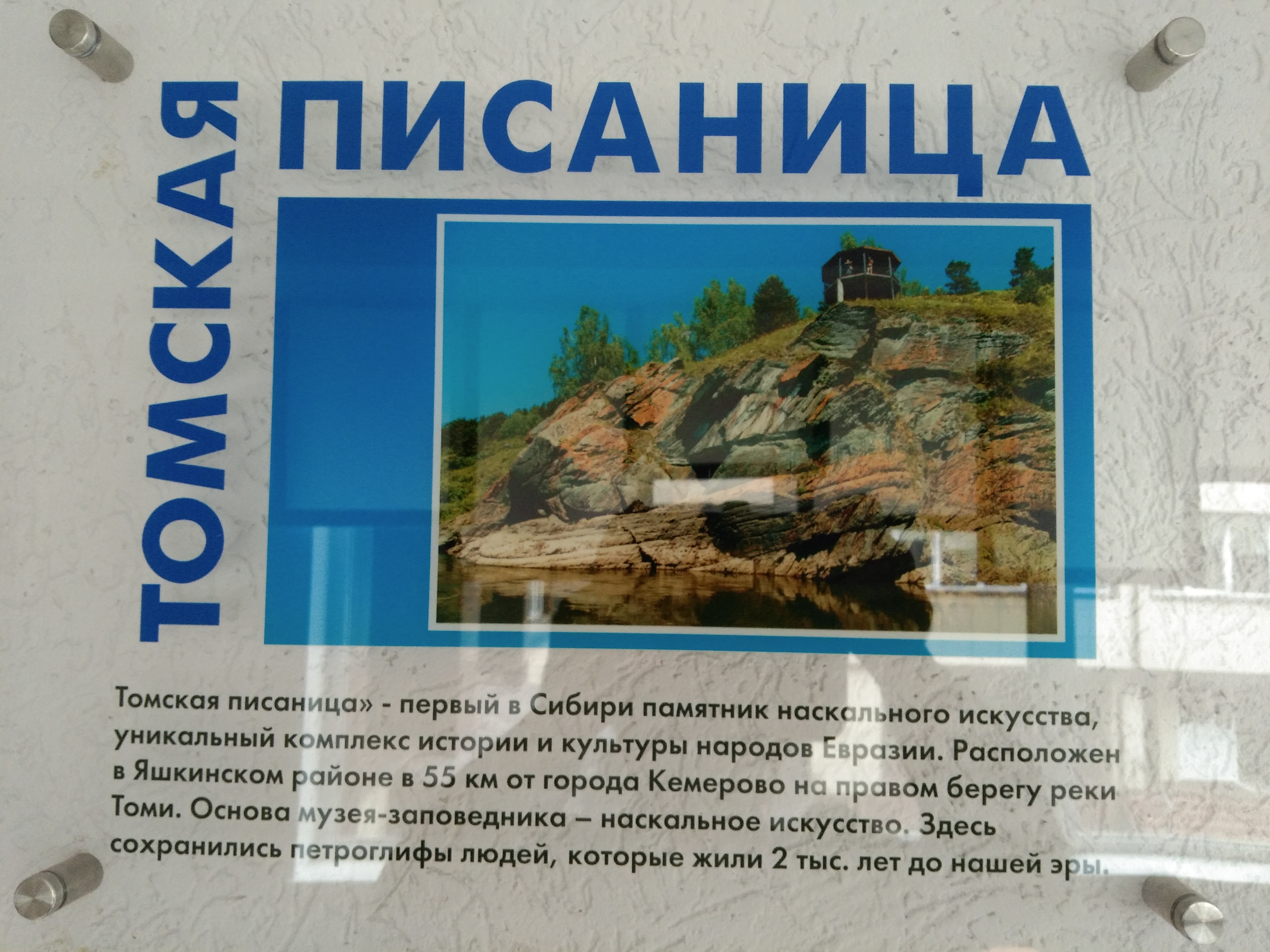 IMG_20200828_090726.jpg